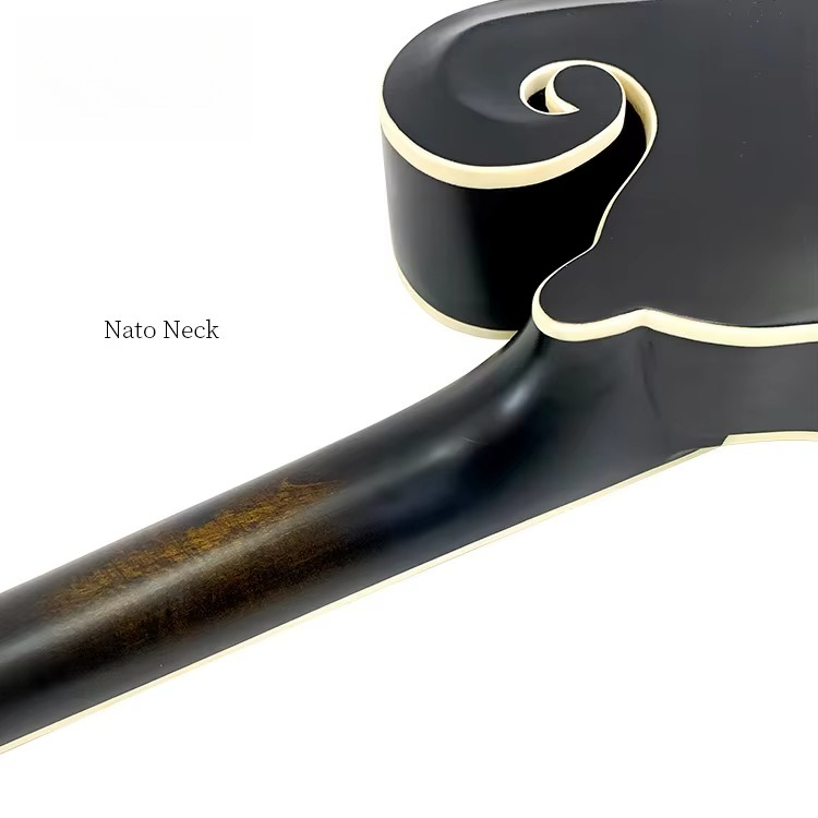 Instrument de mandoline profes - Mandolin A Style avis et prix