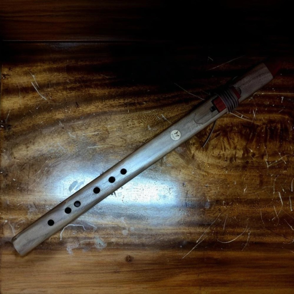 Flûte verticale en bois tonali - Musical Instrument Recorder avis et prix