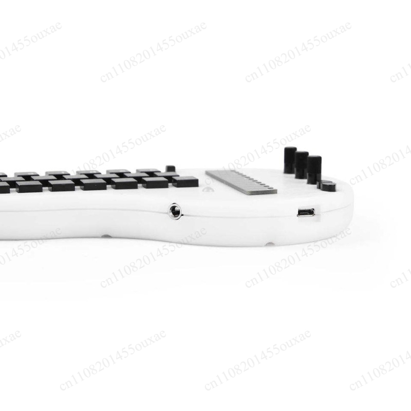Synthétiseur Minichord Open So - Musical Instrument Synthesizer avis et prix