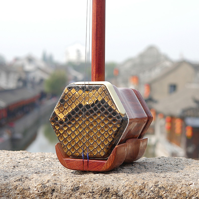 Dunhuang professionnel marque  - Musical Instrument Brands avis et prix