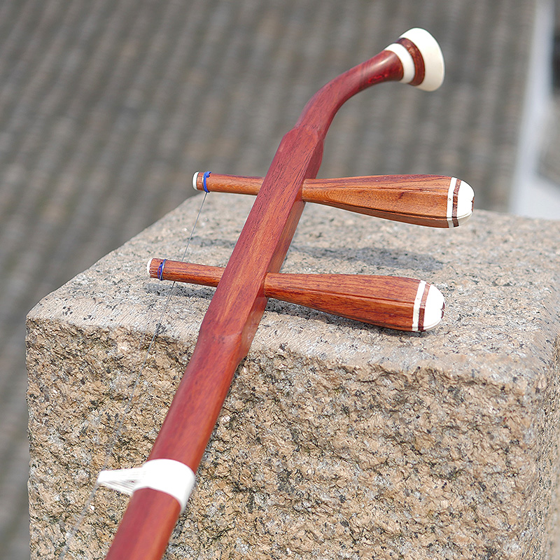 Dunhuang professionnel marque  - Musical Instrument Brands avis et prix