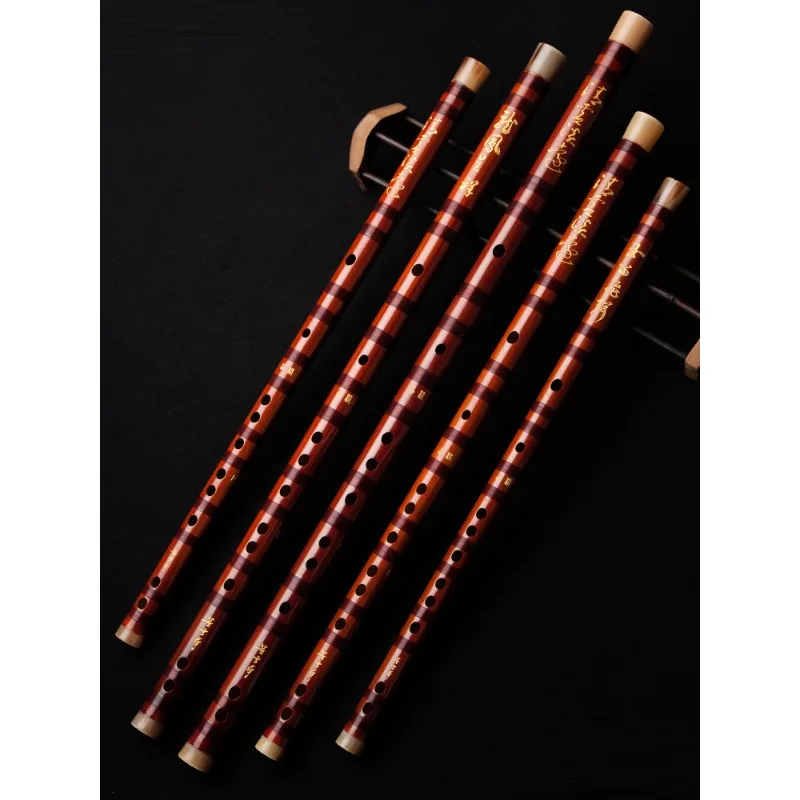Flûte professionnelle, flûte h - Musical Instrument Ending In A avis et prix