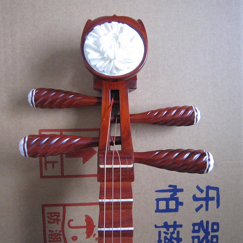 Pipa en bois de rose professio - Musical Instrument Ending In A avis et prix