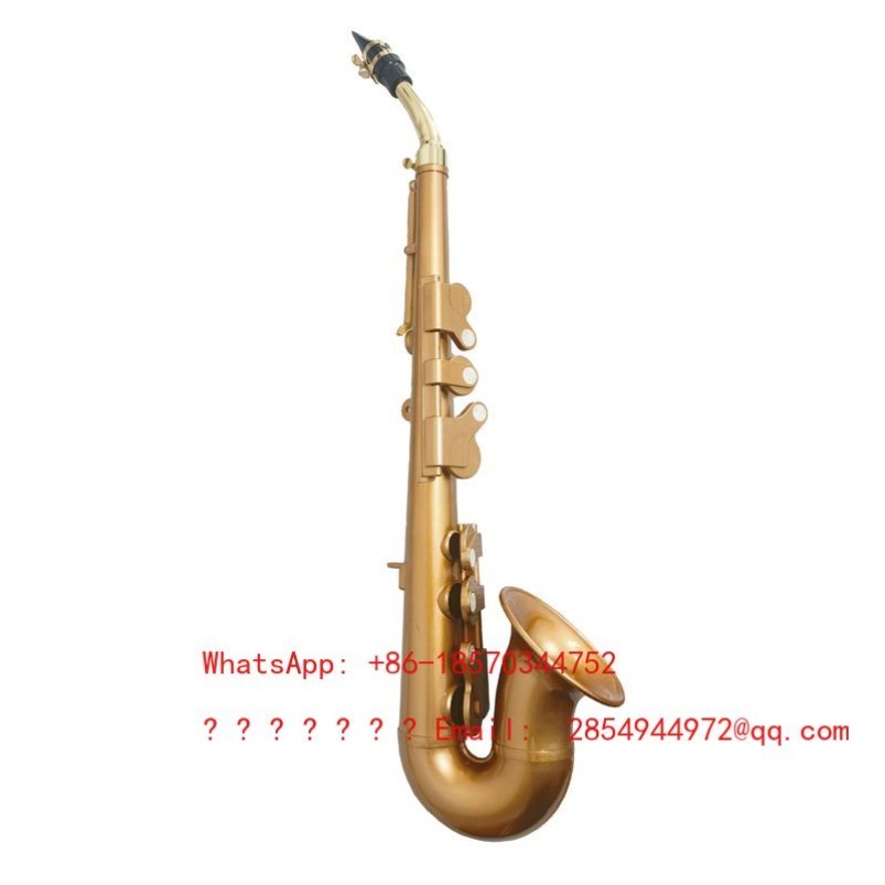 Saxophone en résine, instrumen - Musical Instrument Easy To Learn For Adults avis et prix