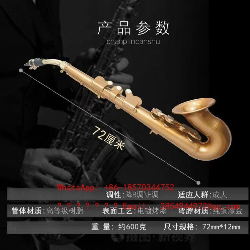 Saxophone en résine, instrumen - Musical Instrument Easy To Learn For Adults avis et prix