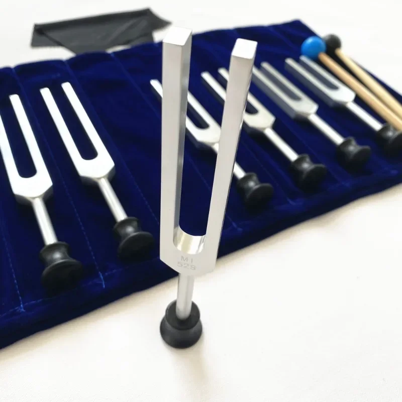 Ensemble de diapason et fourch - Musical Instrument Synthesizer avis et prix