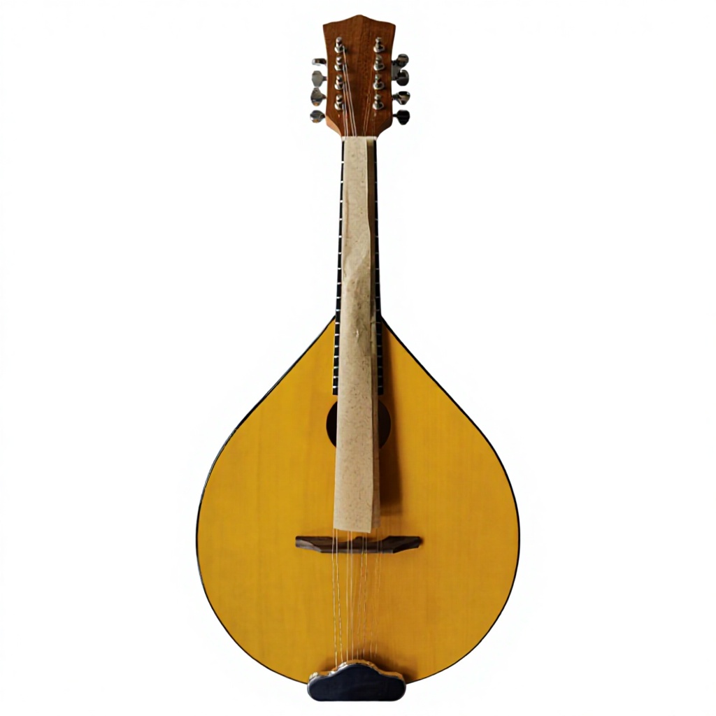 Banjo acoustique à 8 cordes, d - Mandolin A Style avis et prix